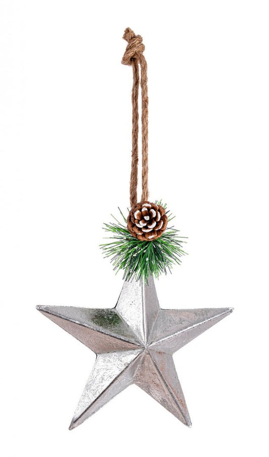 12x Pendaglio Enlight Stella Argento C